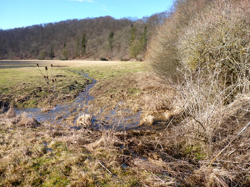 Wanderweg mit Helbe